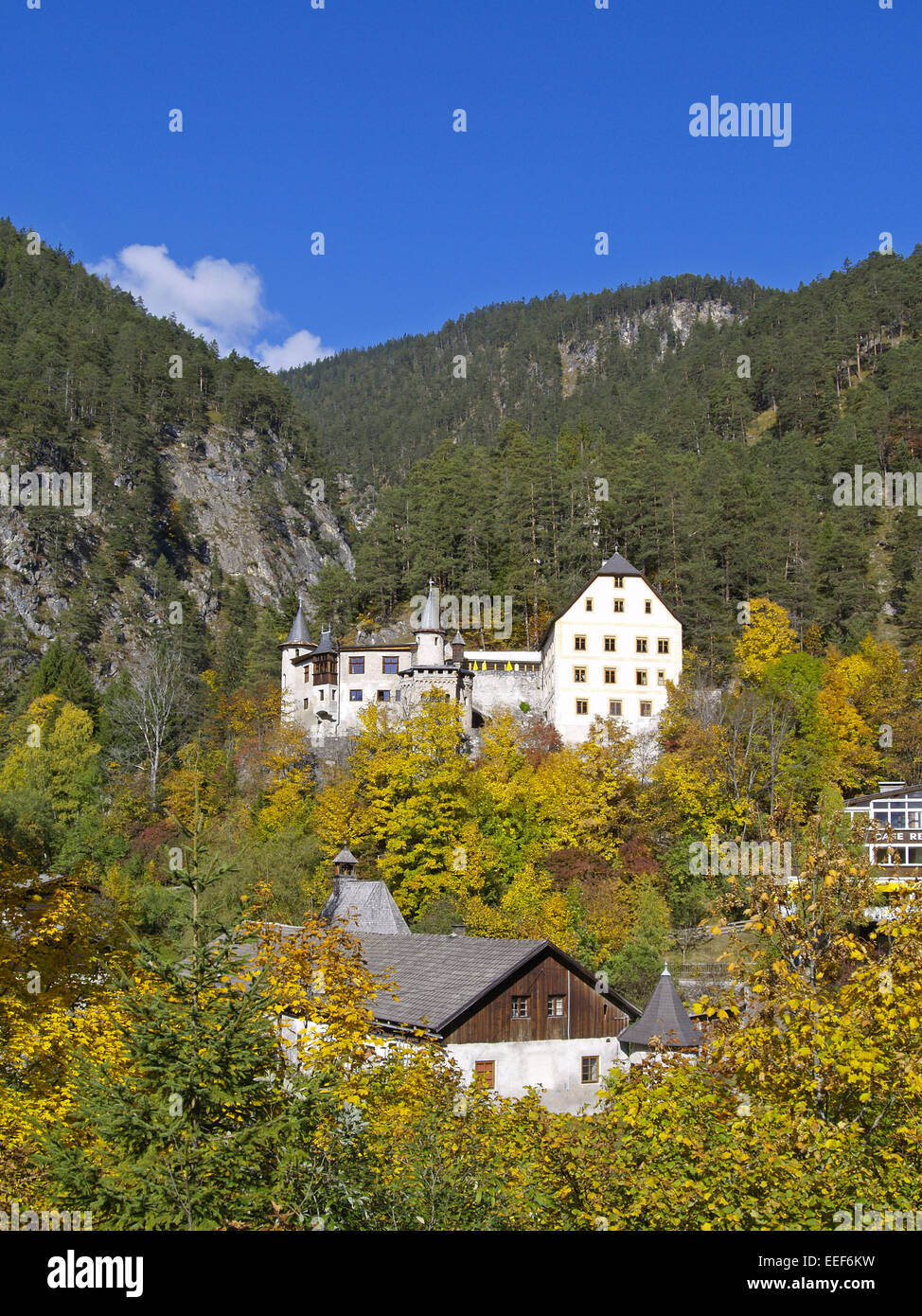 Baum, Baeume, Herbst, Herbstlaub, Blaetter, Farbe, Gelb, Gruen, Jahreszeiten, Natur, Landschaft, Stimmung, Berge, Oesterreich, T Stock Photo