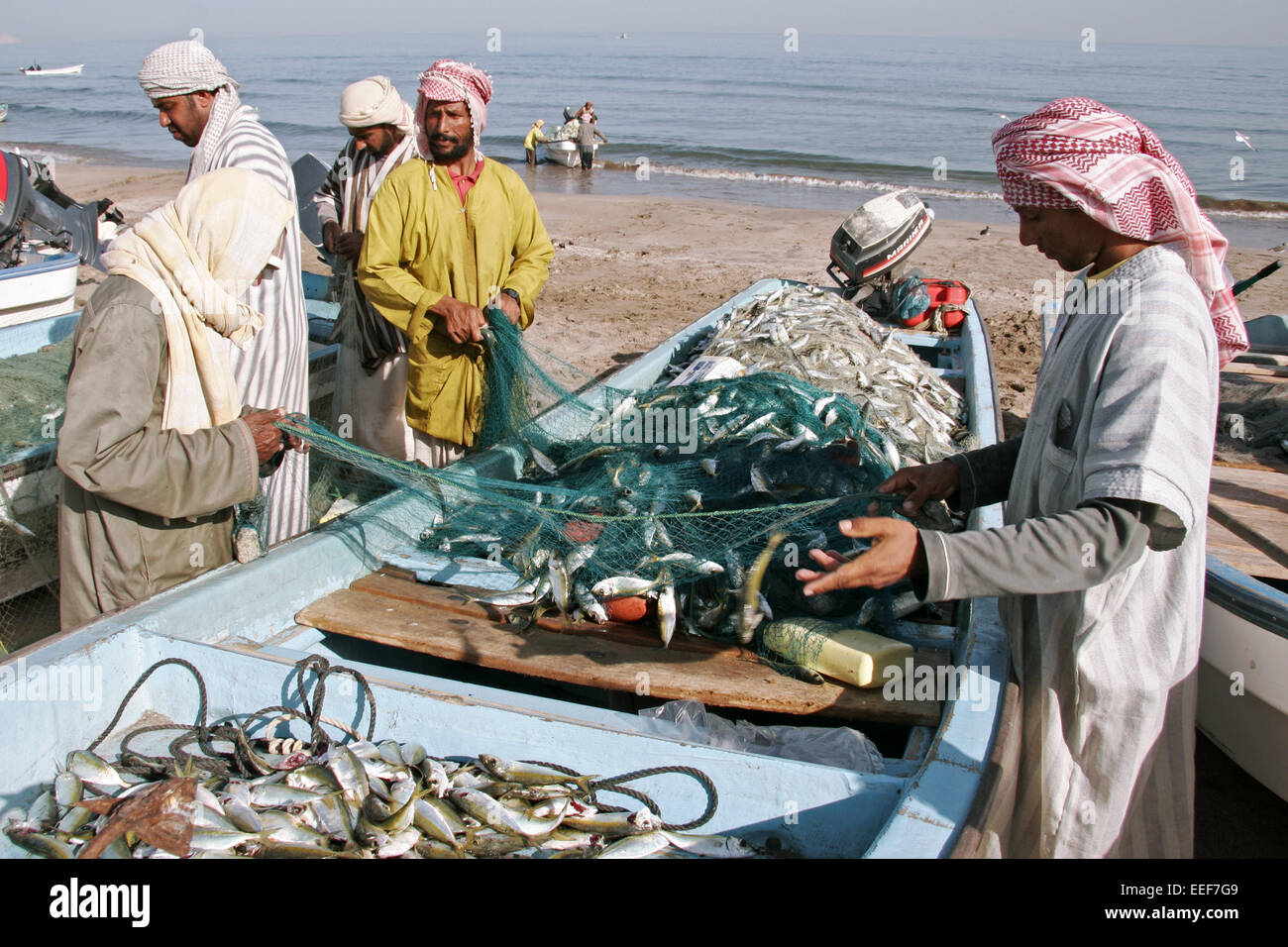 Sultanat Oman Reisen Barka Batinah Strand Fischer Erfolgreich Fang Anbieten Verkaufen Region Kuestenregion Menschen Einheimische Stock Photo