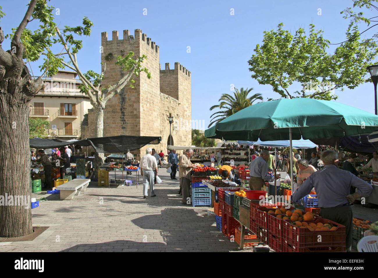 Spanien Mallorca Alcudia Markt Haendler Verkauf Lebensmittel No Model Release Mittelmeer Balearen Insel Wochenmarkt Marktstand N Stock Photo