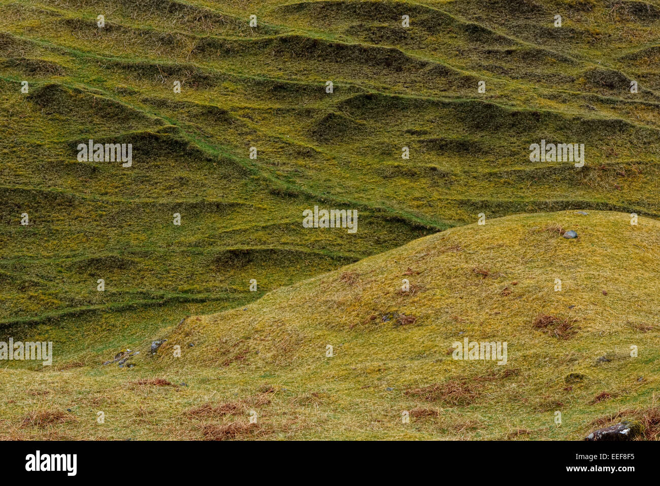 Isle of Skye, Inner Hebrides, Scotland Stock Photo - Alamy