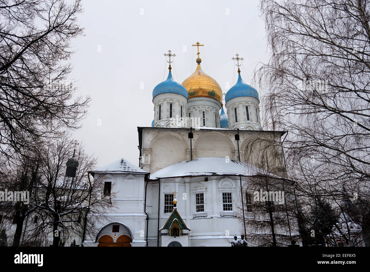 Savior Transfiguration Cathedral in Novospassky Monastery in Moscow Stock Photo