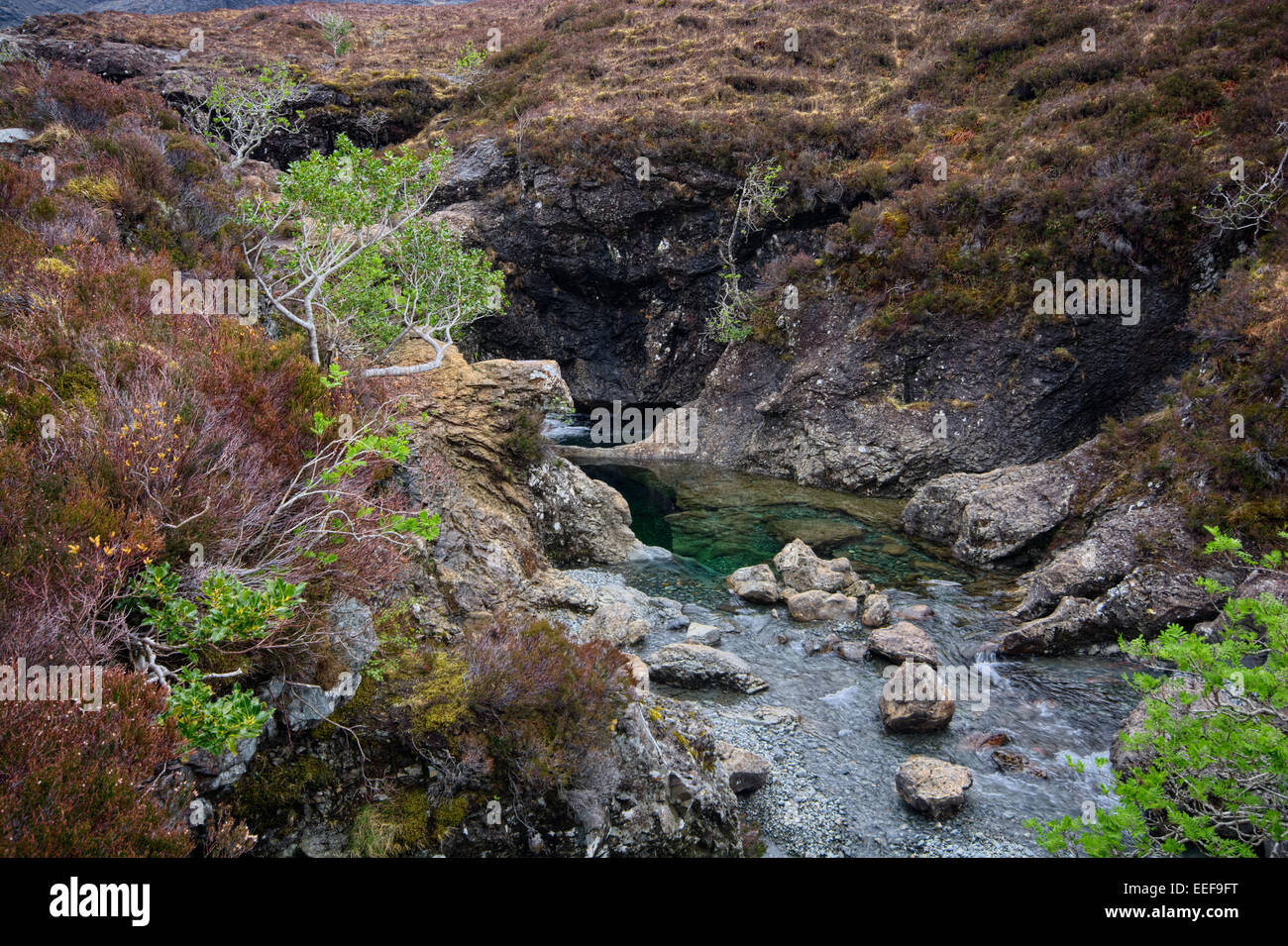 Isle of Skye, Inner Hebrides, Scotland Stock Photo - Alamy