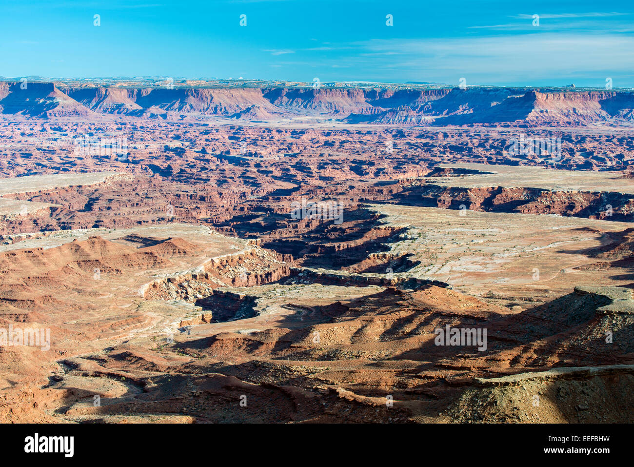 Grand View Point Overlook, Canyonlands National Park, Utah, USA Stock Photo