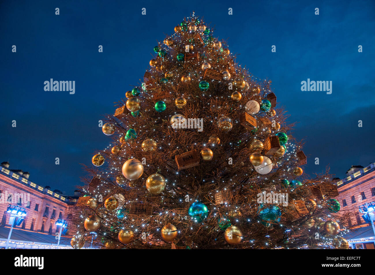 A huge Christmas tree at Somerset House in London Stock Photo