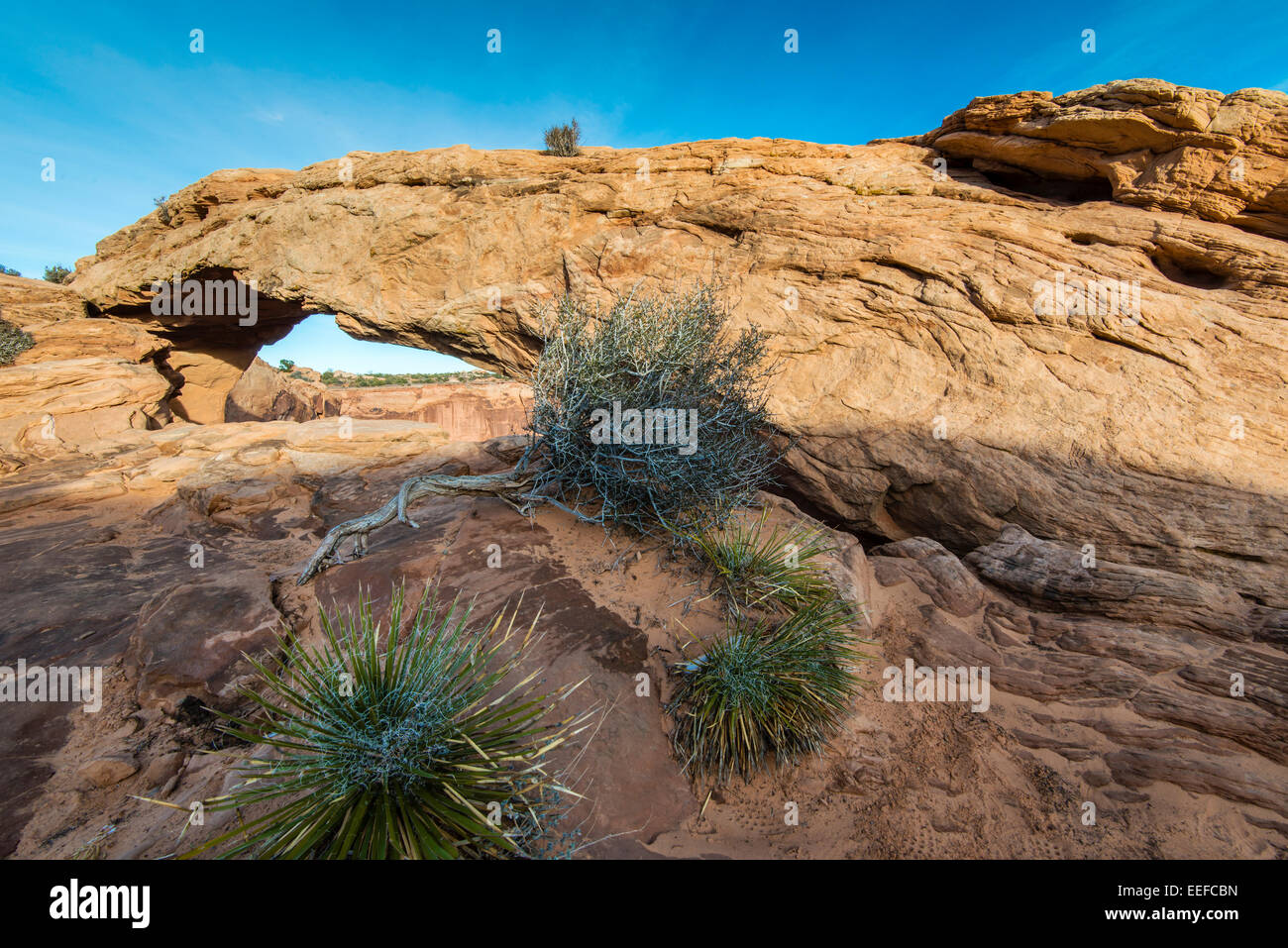 Mesa Arch, Canyonlands National Park, Utah, USA Stock Photo