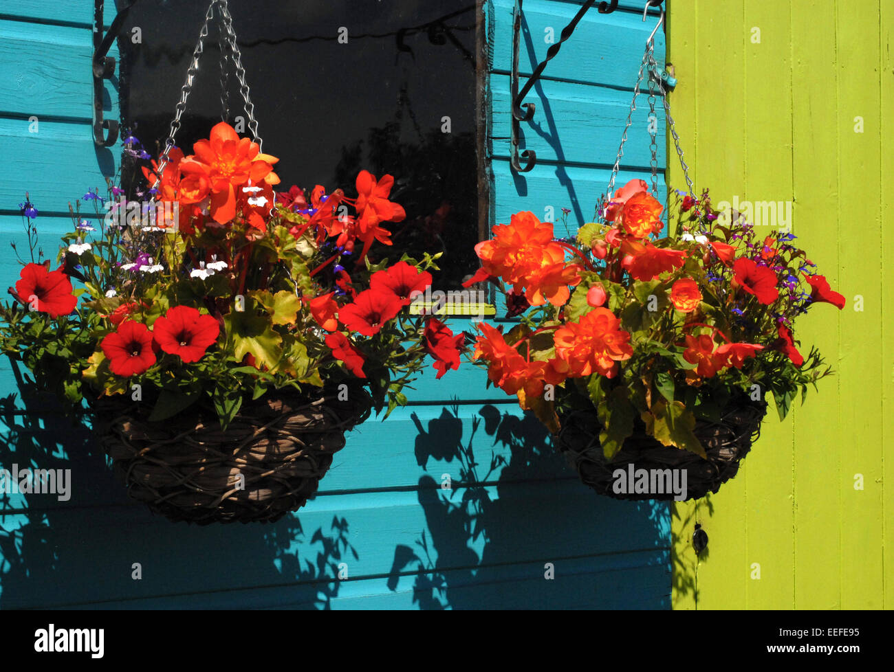 hanging baskets Stock Photo - Alamy