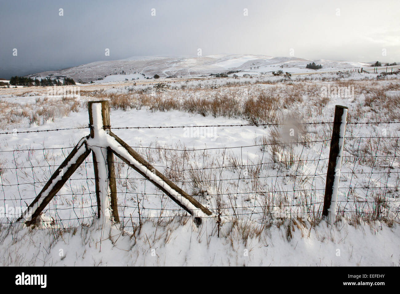 Mynydd Epynt, Powys, UK. 17th January, 2015. A barren winter landscape on the Mynyd Epynt moorland. About 6-8 cms of snow fell last night on high land in Mid-Wales. Credit:  Graham M. Lawrence/Alamy Live News. Stock Photo