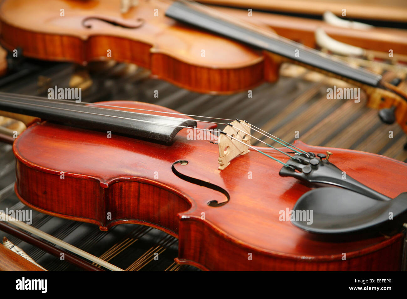 Musikinstrument, Violine, Detail, Instrument, Streichinstrument,  Saiteninstrument, Geige, Halbgeige, Diskantinstrument, Resonanz Stock Photo  - Alamy