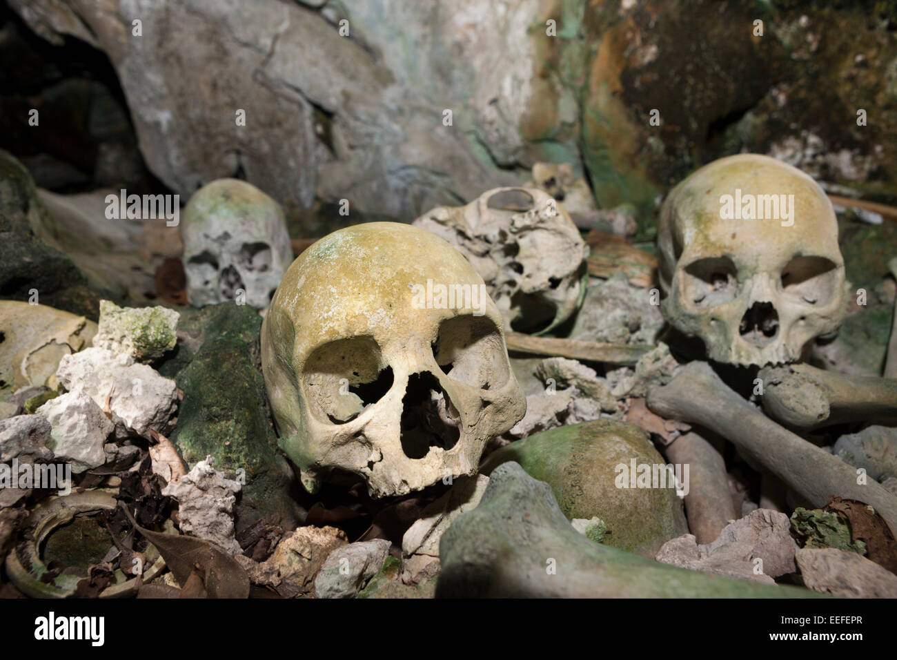 Old Skulls hidden in Rock Islands near Malwawa, Triton Bay, West Papua, Indonesia Stock Photo