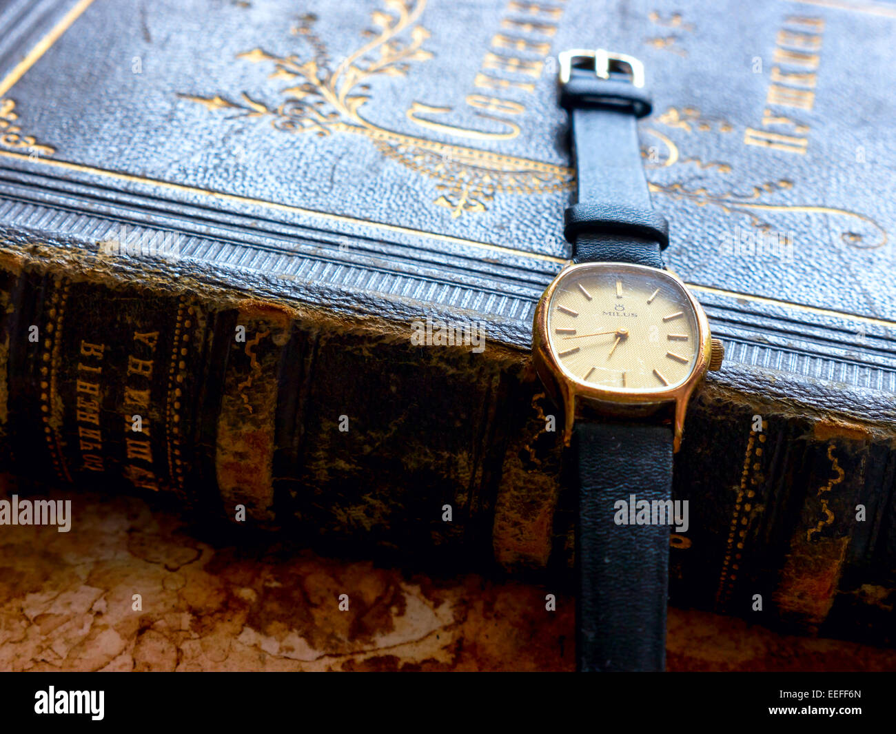 Milus watch brand hot sale