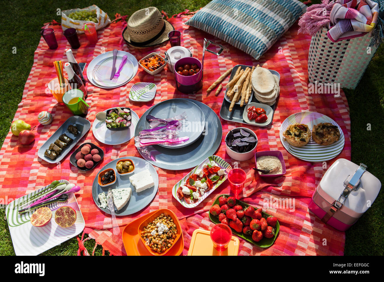 Outdoor picnic with plastic Habitat plates and cutlery Stock Photo Alamy