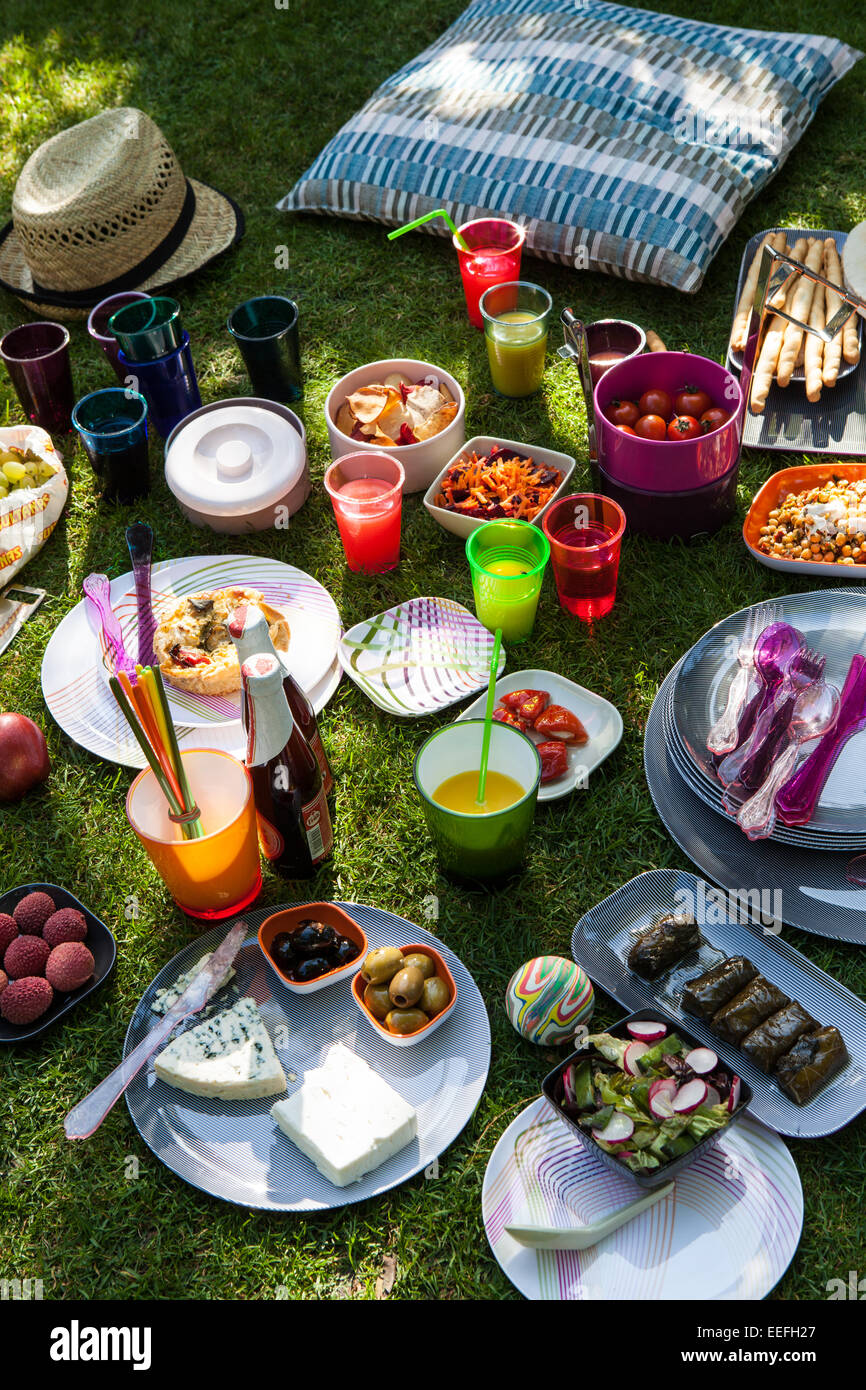 Outdoor picnic with plastic Habitat plates and cutlery Stock Photo Alamy
