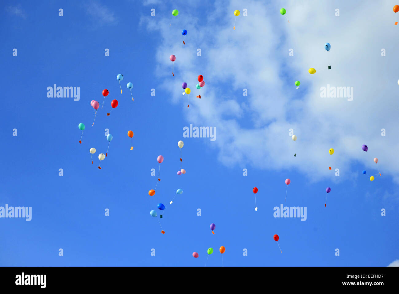 Blauer, Himmel, Luftballons, fliegen, Fest, Feier, Geburtstag, Kindergeburtstag, Kindheit, Ballons, viele, bunt, rot, blau, geme Stock Photo