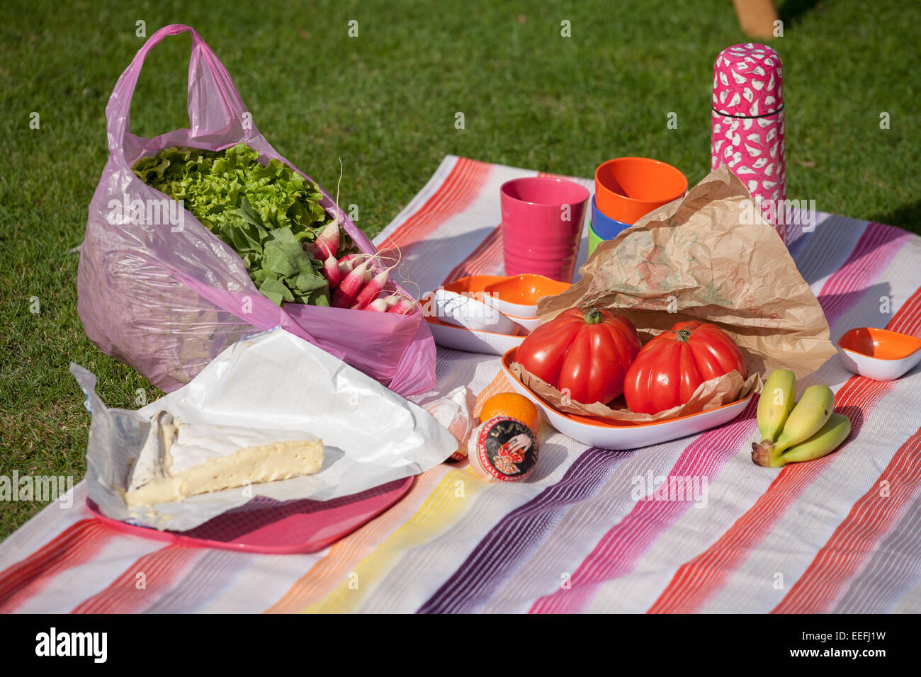 Picnic lunch on colourful rug in summer Stock Photo