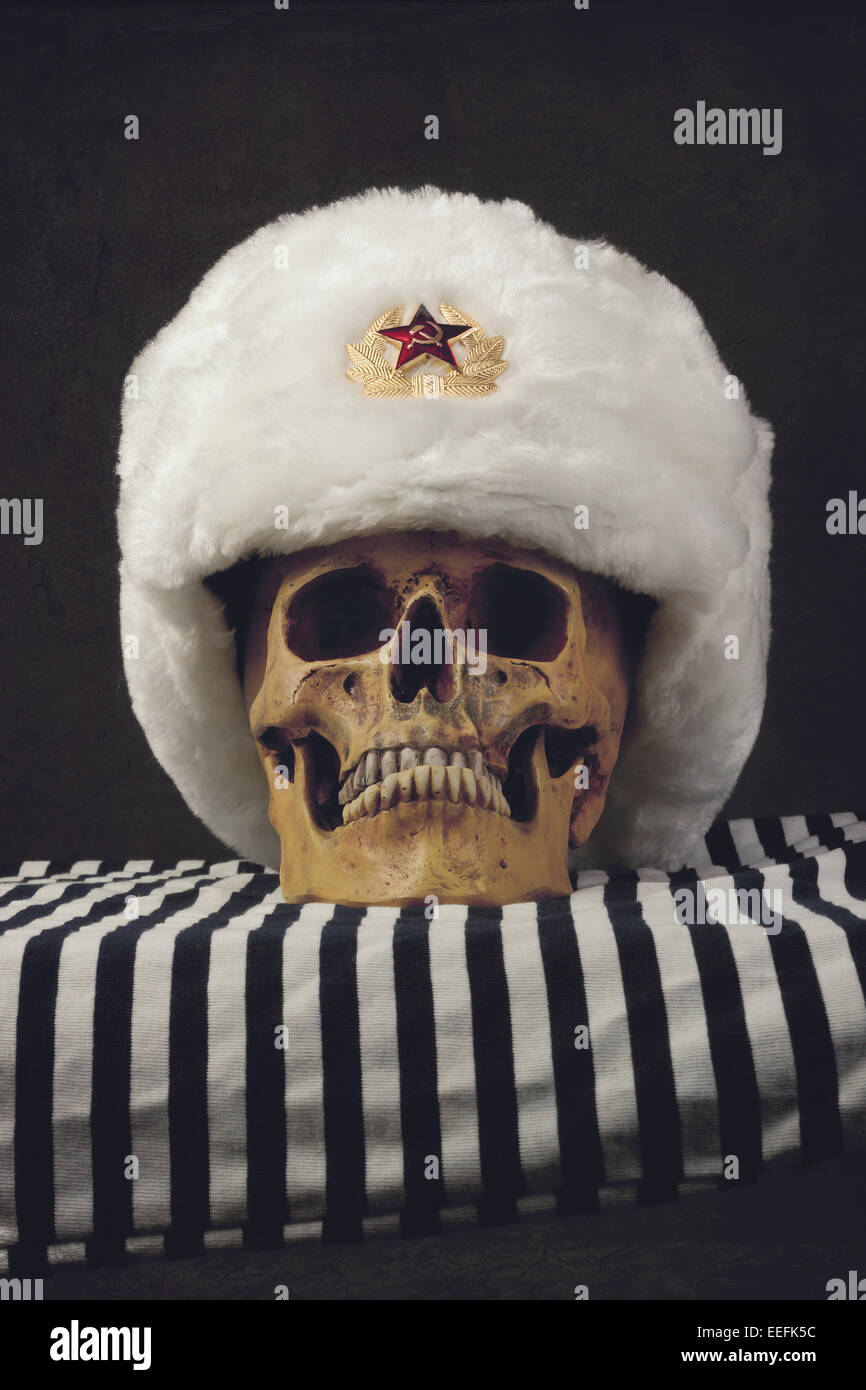 Skull with russian Uschanka Stock Photo