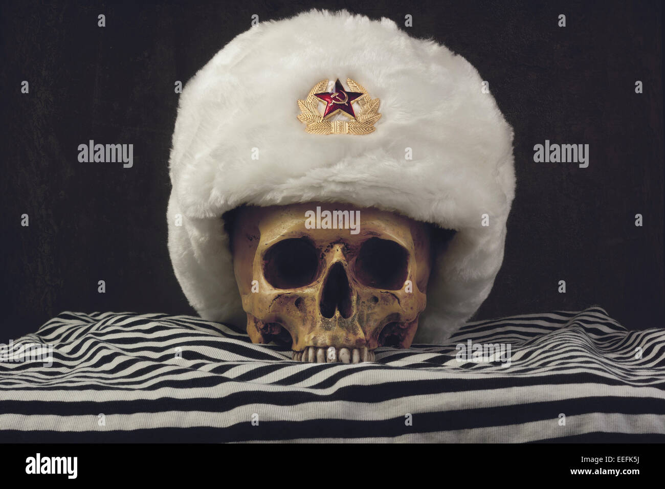 Skull with russian Uschanka Stock Photo