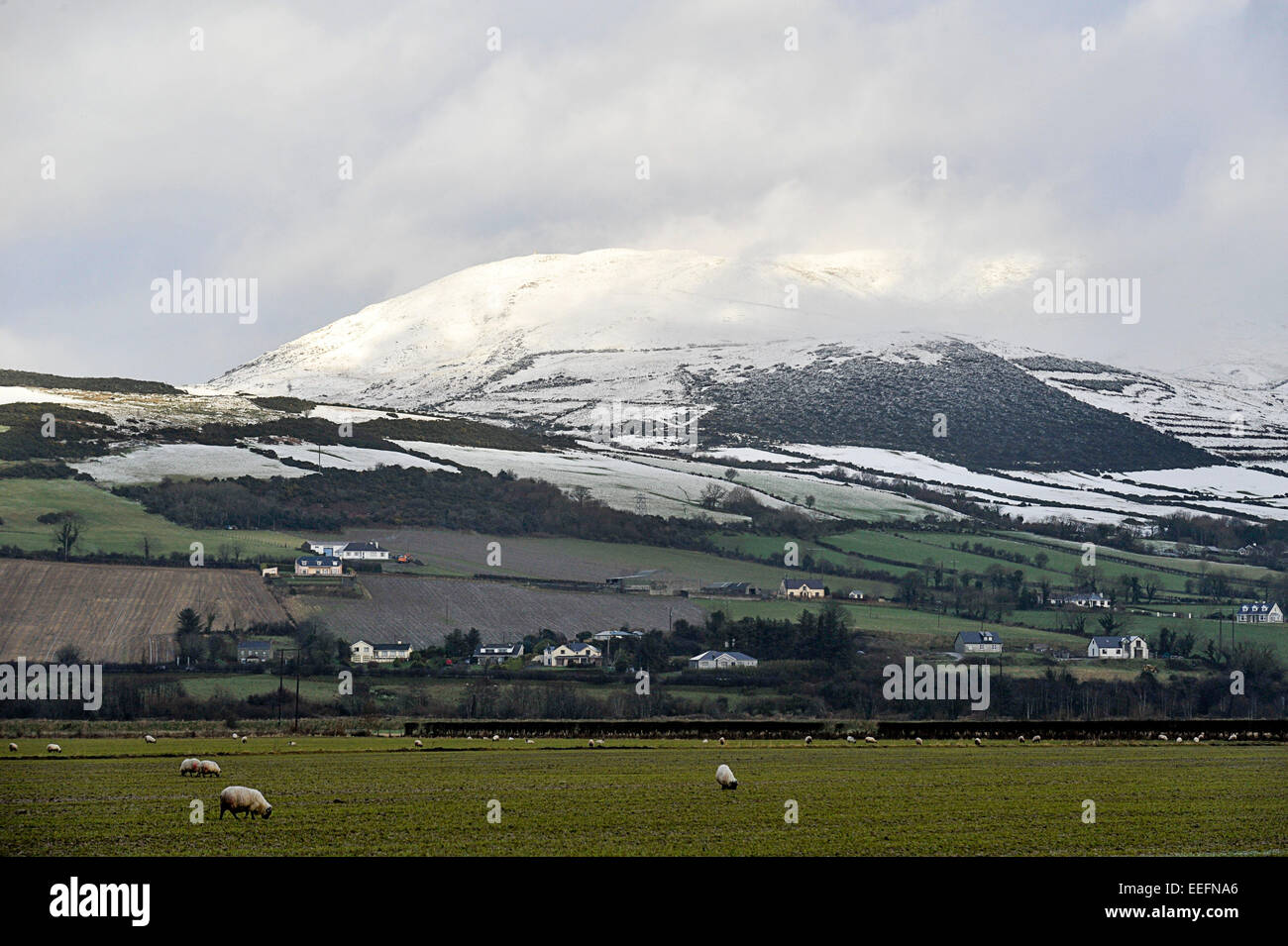 County Donegal, Ireland. 17th Jan, 2015. Ireland weather: Winter sunshine, County Donegal - 17 January 2015. Snow covered hills in winter sunshine, Burnfoot, County Donegal.  Credit:  George Sweeney/Alamy Live News Stock Photo