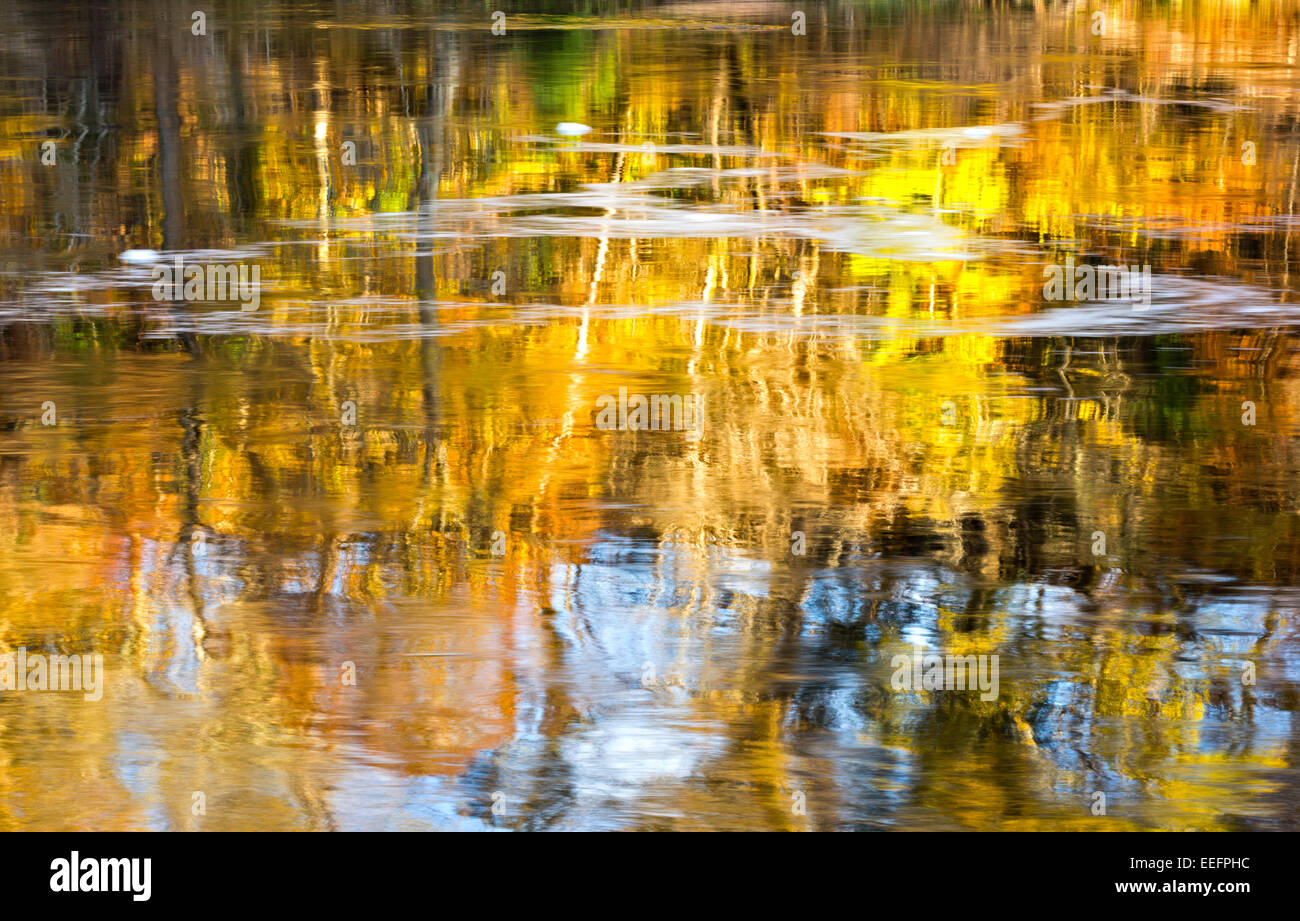 Fall Water Reflections Colourful fall leaves with blue river hi-res stock photography and ...