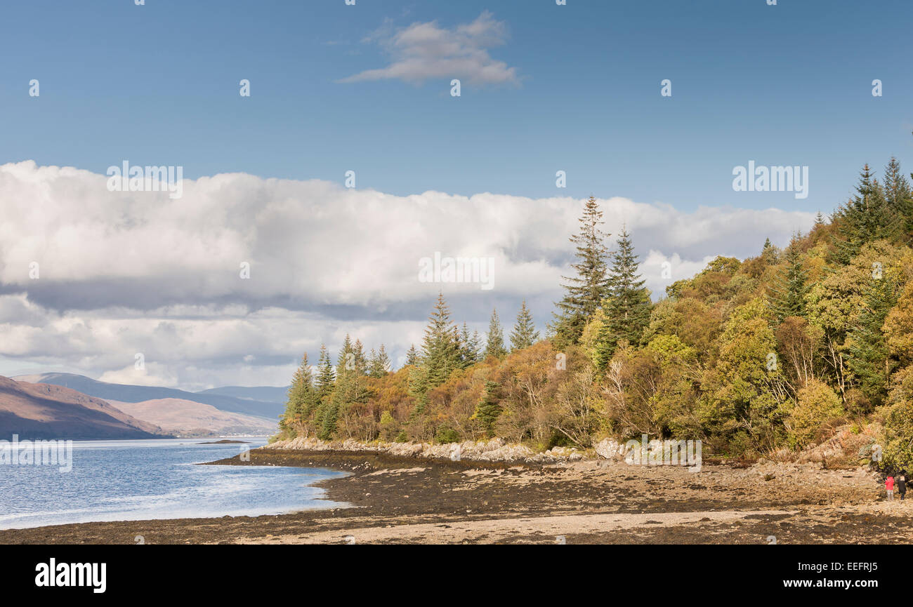 Shore of Loch Linnhe at Lochaber in Scotland Stock Photo Alamy