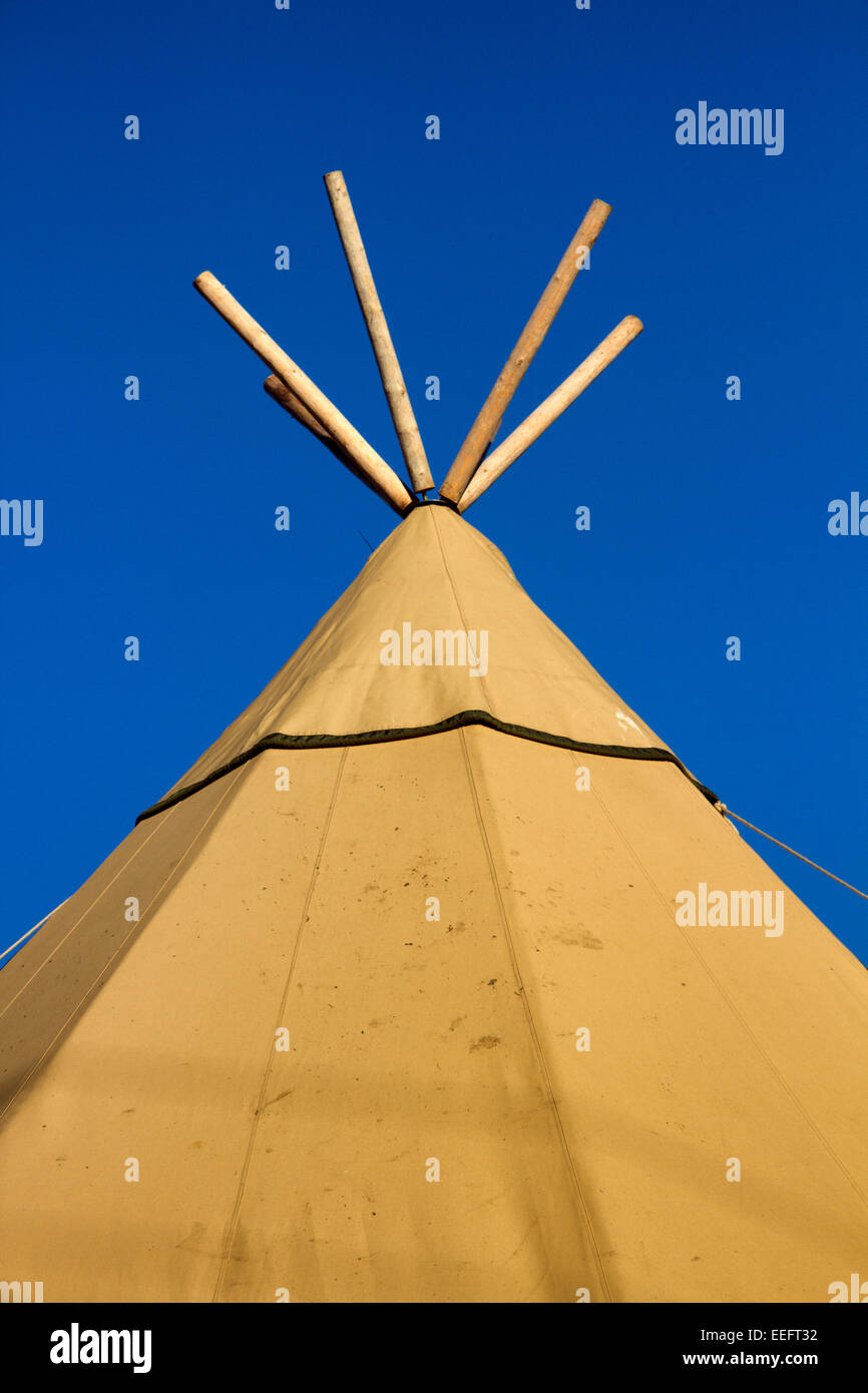 Traditional tent, Jimmy's Farm, Ipswich. Suffolk, UK Stock Photo - Alamy
