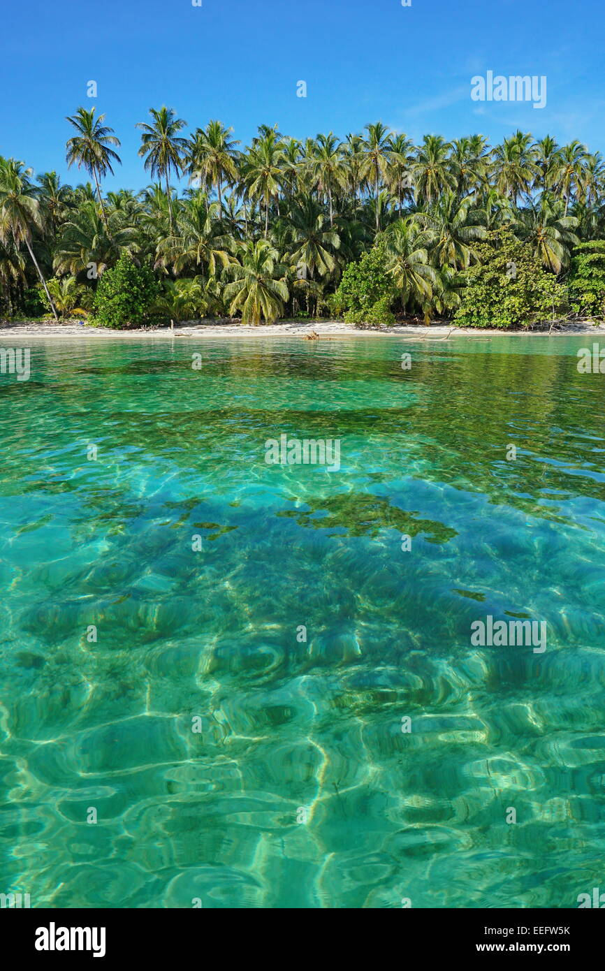Tropical beach with lush vegetation and clear water, viewed from the sea, Caribbean Stock Photo