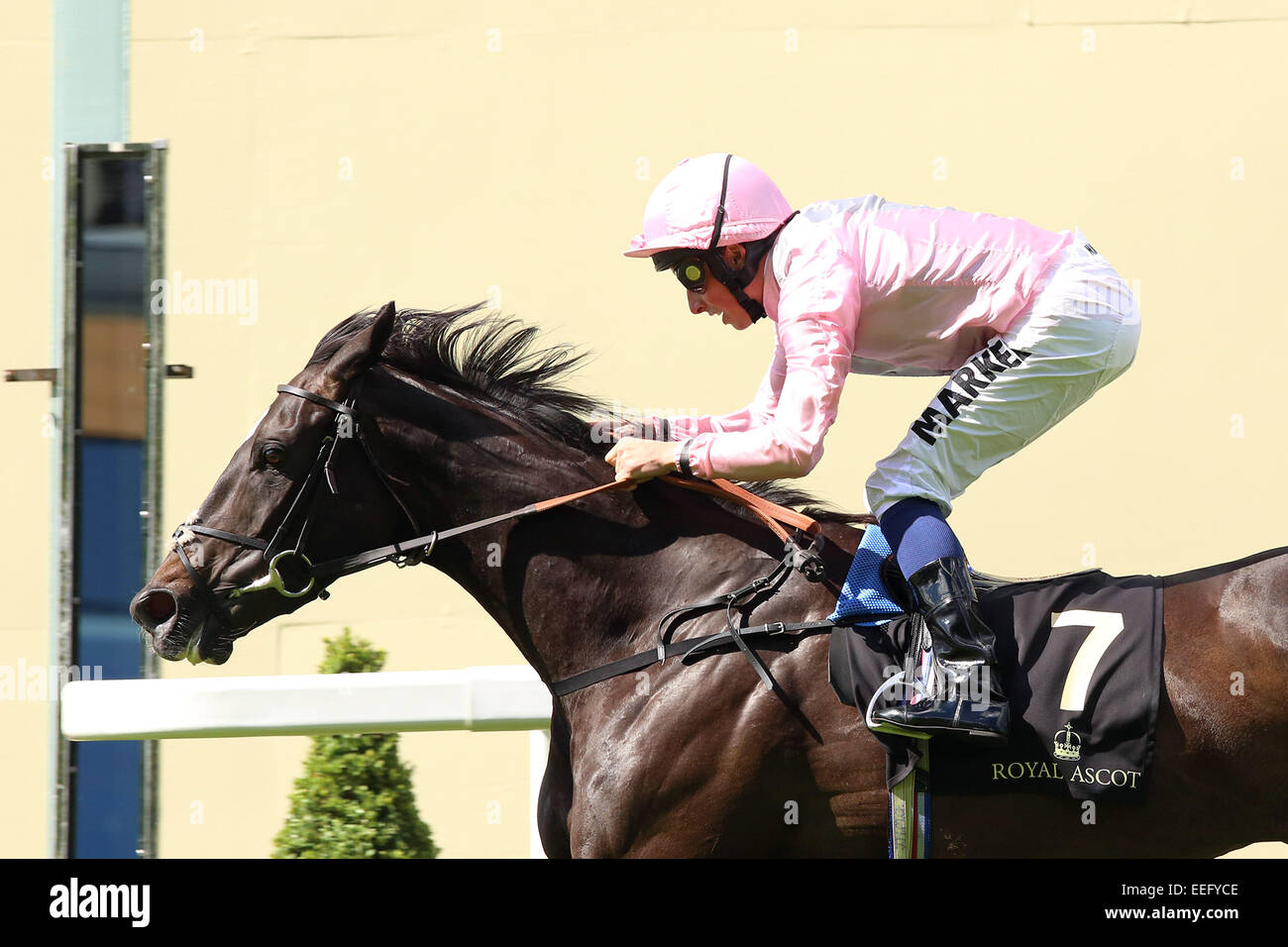 Royal Ascot, The Fugue with William Buick up wins the Prince of Wales's Stakes Stock Photo
