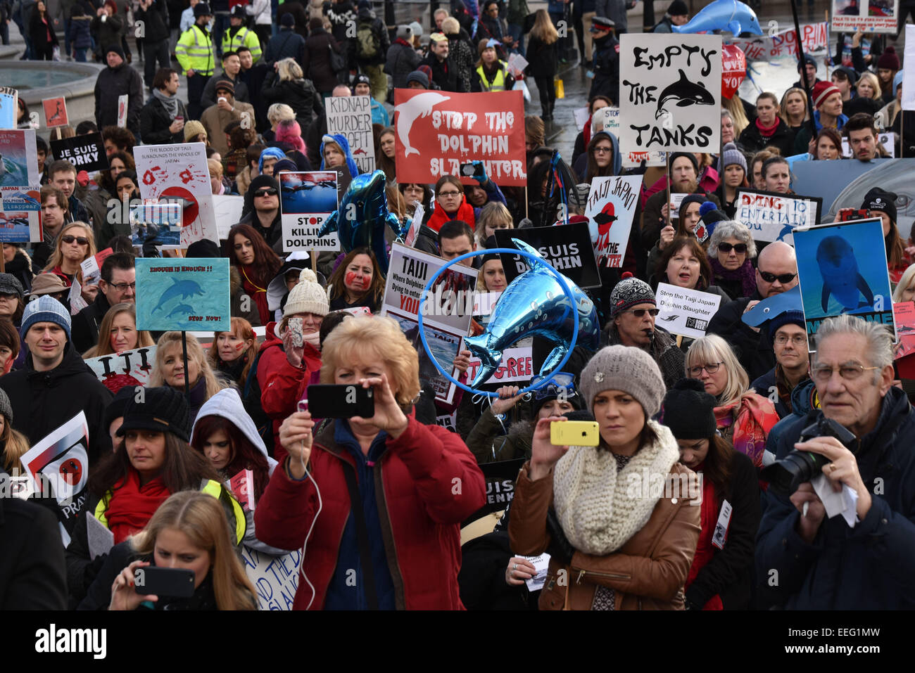London, UK, 17th January 2015 : More than a thousand people, some dressed as dolphins and others carrying them, rally against the bloody annual dolphin slaughter in Taiji cove, Japan and the cruelty of keeping captured dolphins in visitor attractions in London.  Credit:  See Li/Alamy Live News Stock Photo
