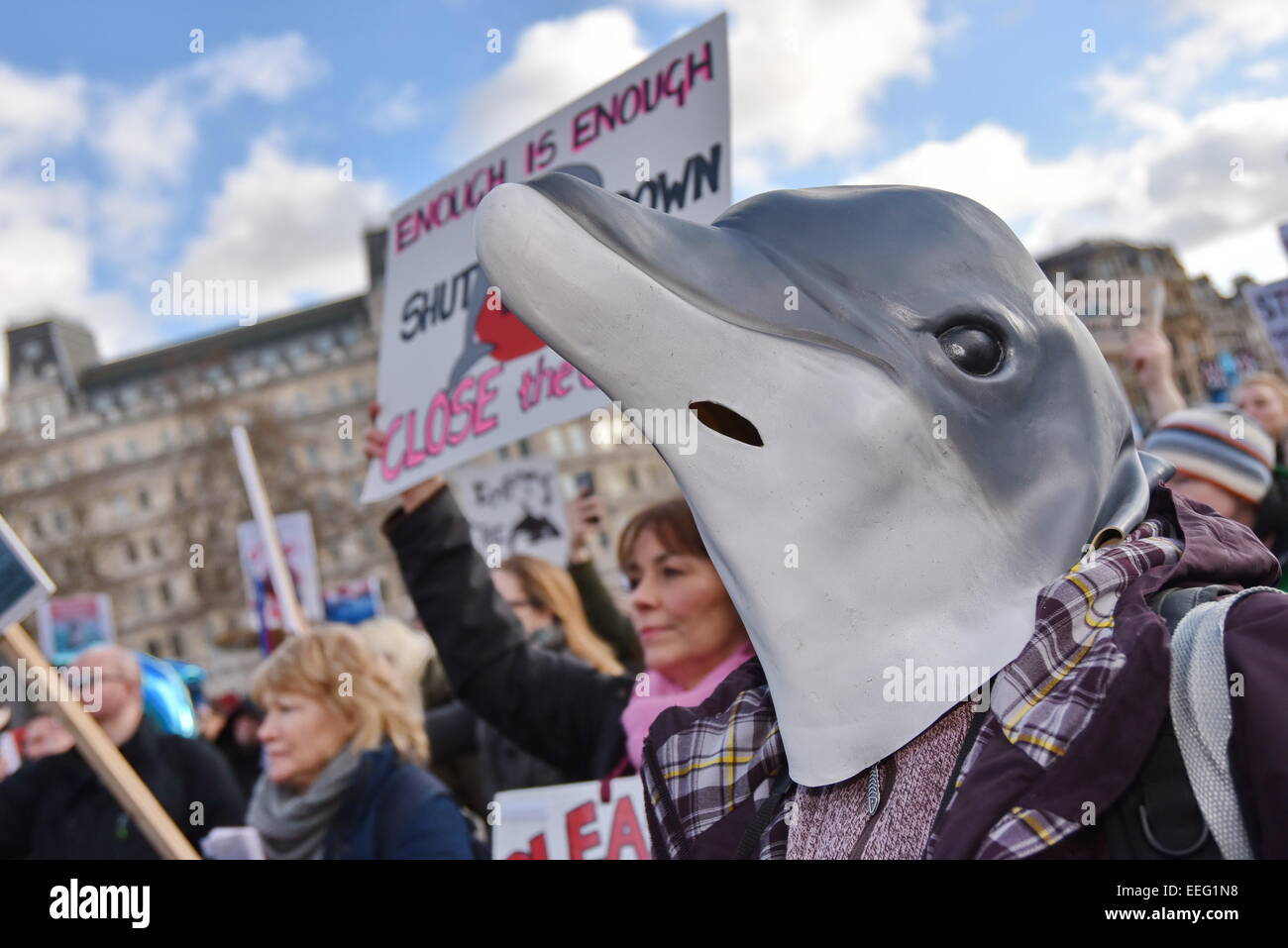 London, UK, 17th January 2015 : More than a thousand people, some dressed as dolphins and others carrying them, rally against the bloody annual dolphin slaughter in Taiji cove, Japan and the cruelty of keeping captured dolphins in visitor attractions in London.  Credit:  See Li/Alamy Live News Stock Photo