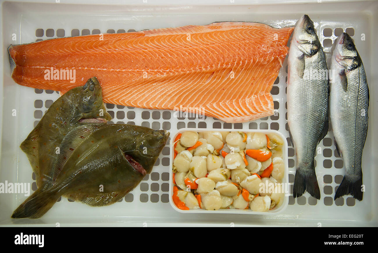 A selection of wet fresh fish in a crate Stock Photo