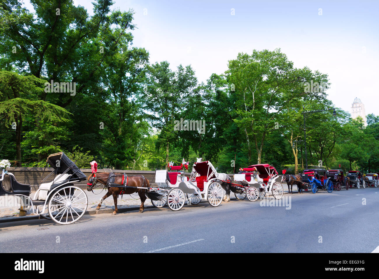 Central Park horse carriage rides in Manhattan New York US Stock Photo ...