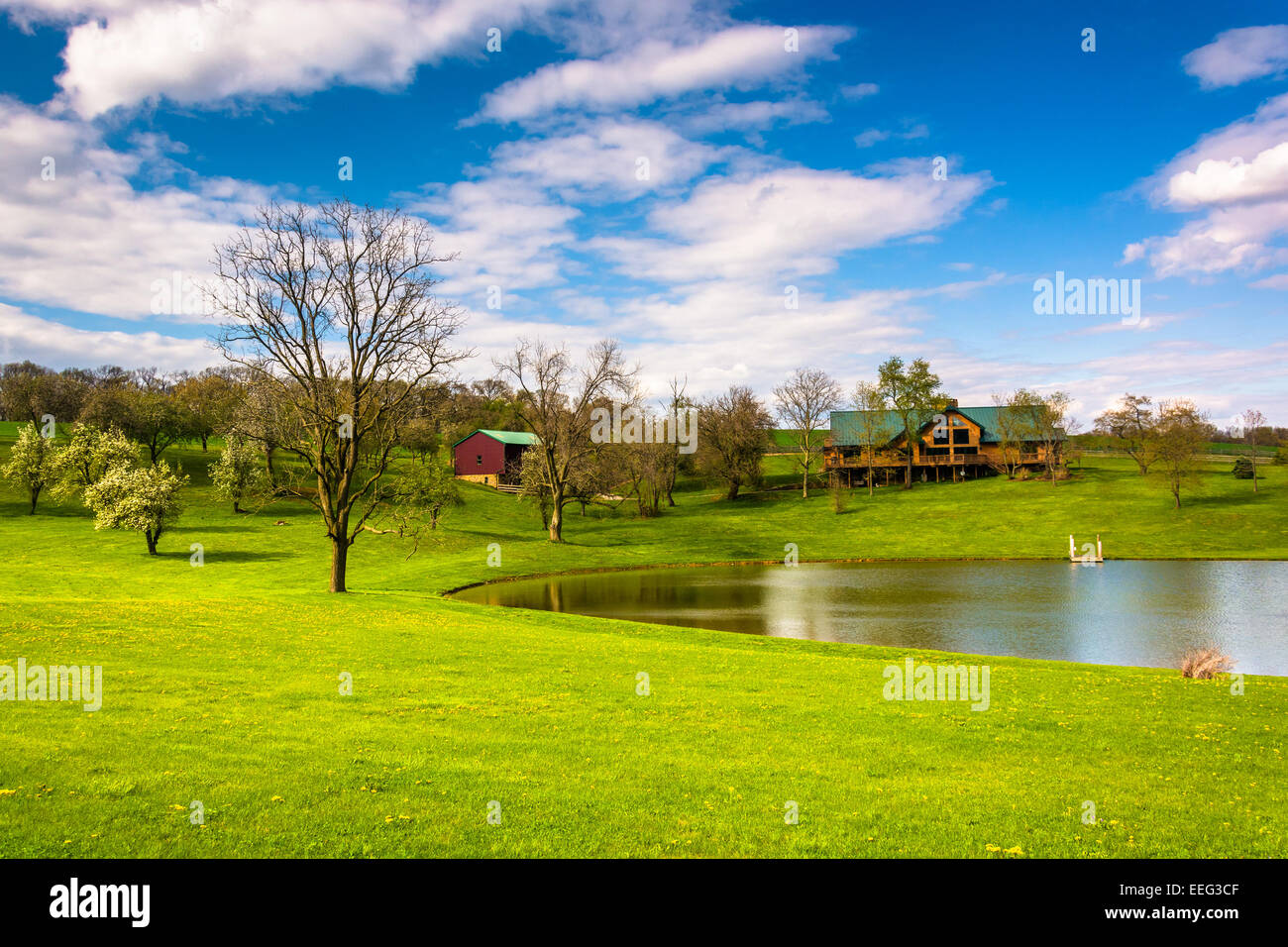 Pond scenery in rural hi-res stock photography and images - Alamy