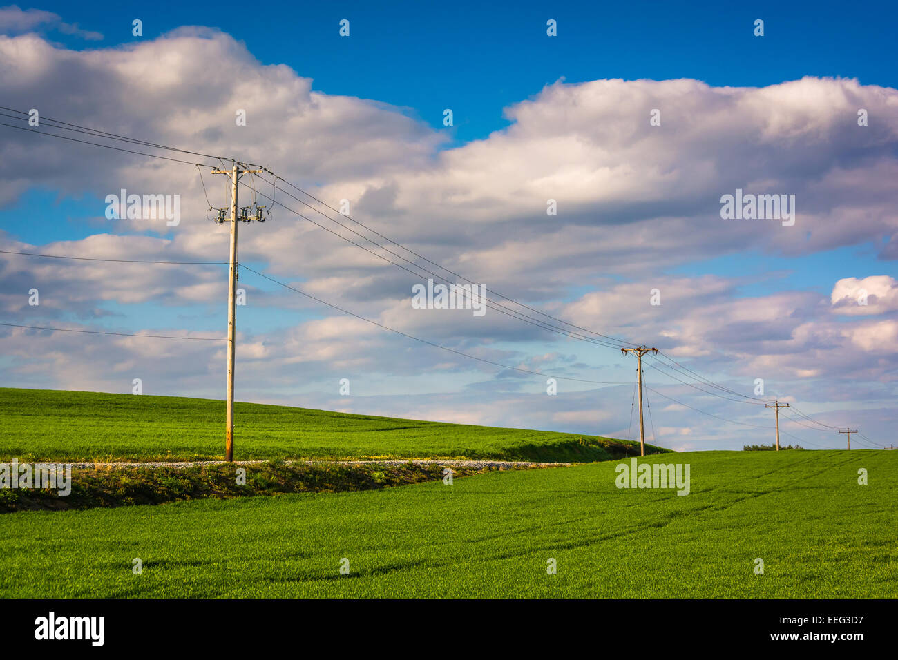 Power lines and utility poles in a field in rural York County