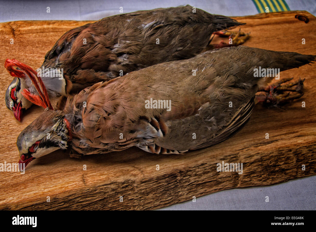 Brace of Partridges on a wooden board Stock Photo