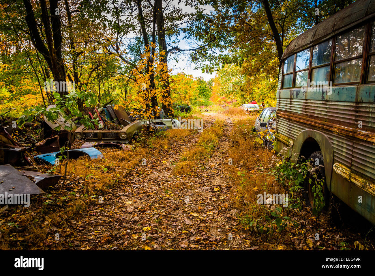 School bus and wrecked cars in a junkyard Stock Photo - Alamy