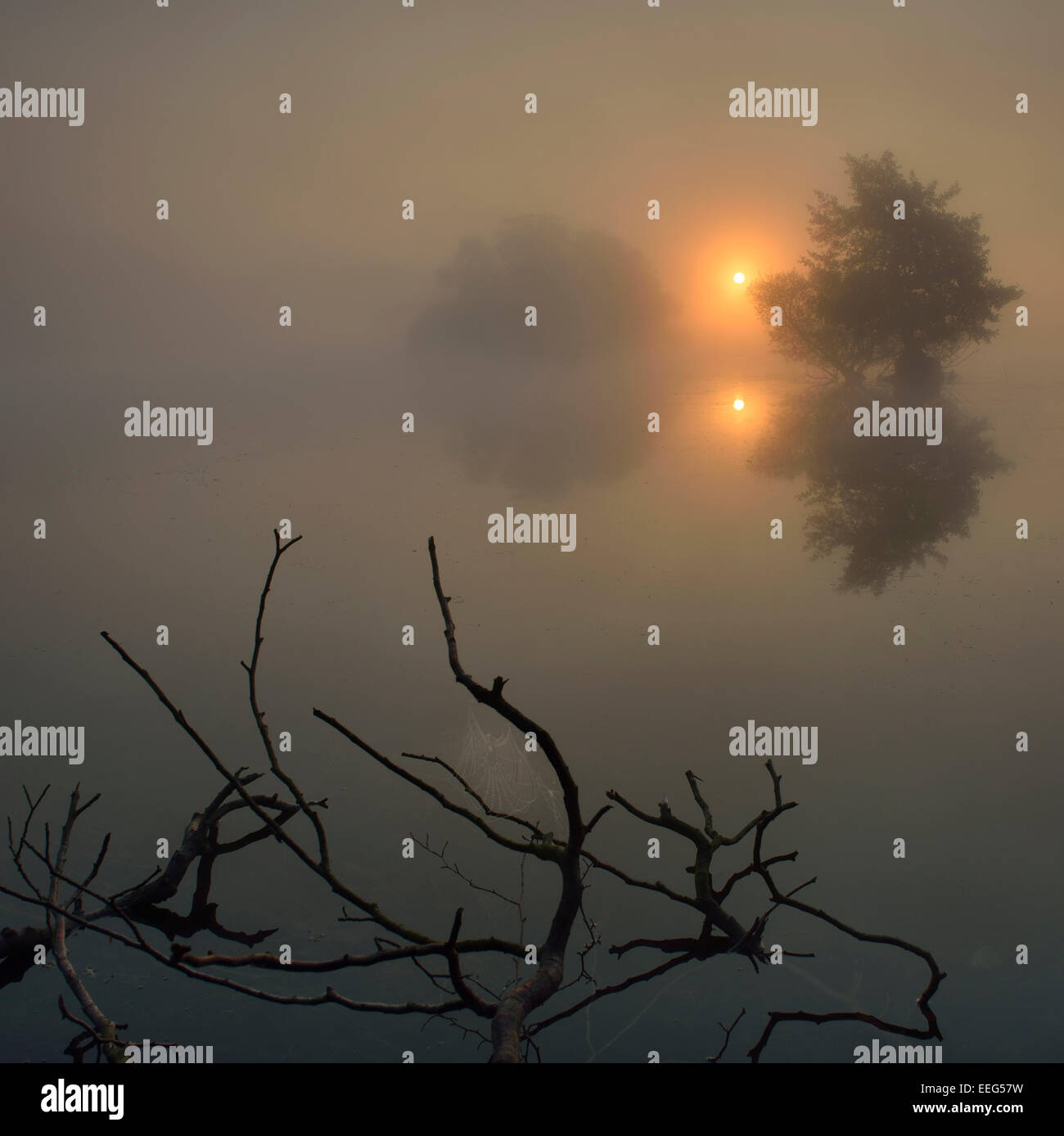 Smaller of the two Pen Ponds at sunrise, Richmond Park, London, UK Stock Photo