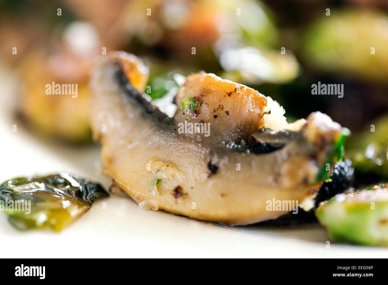 Mushroom Slice closeup Stock Photo