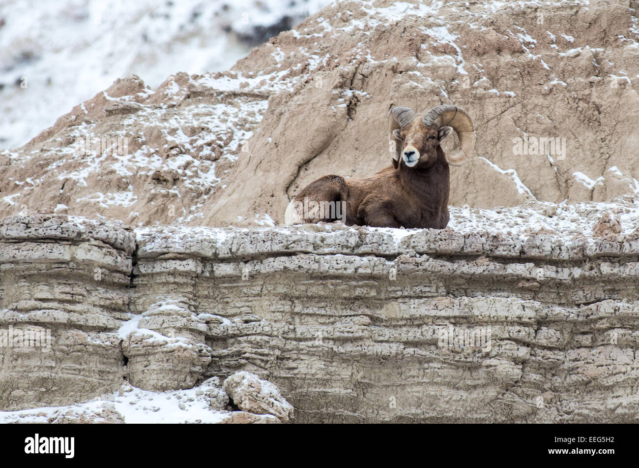 Chadron State Park | Back Yard Biology, image size:1300x951
