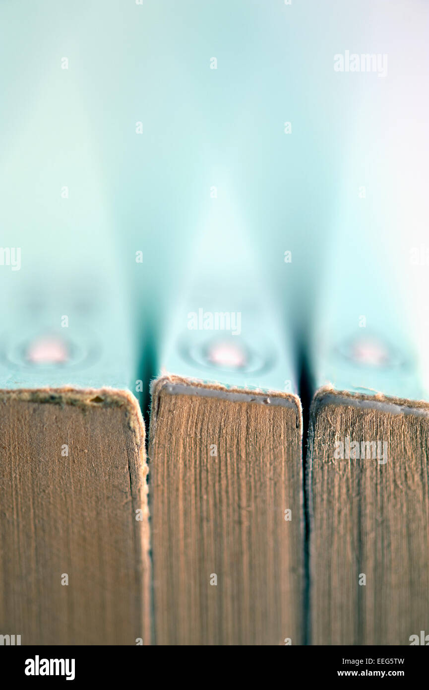 Close-up of three Penguin Classic books with focus on the pages and binding Stock Photo