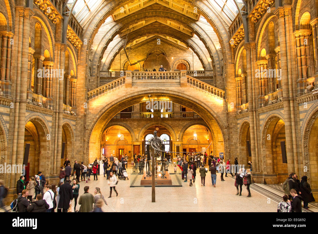 Natural History Museum (London) in South Kensington, England. Stock Photo