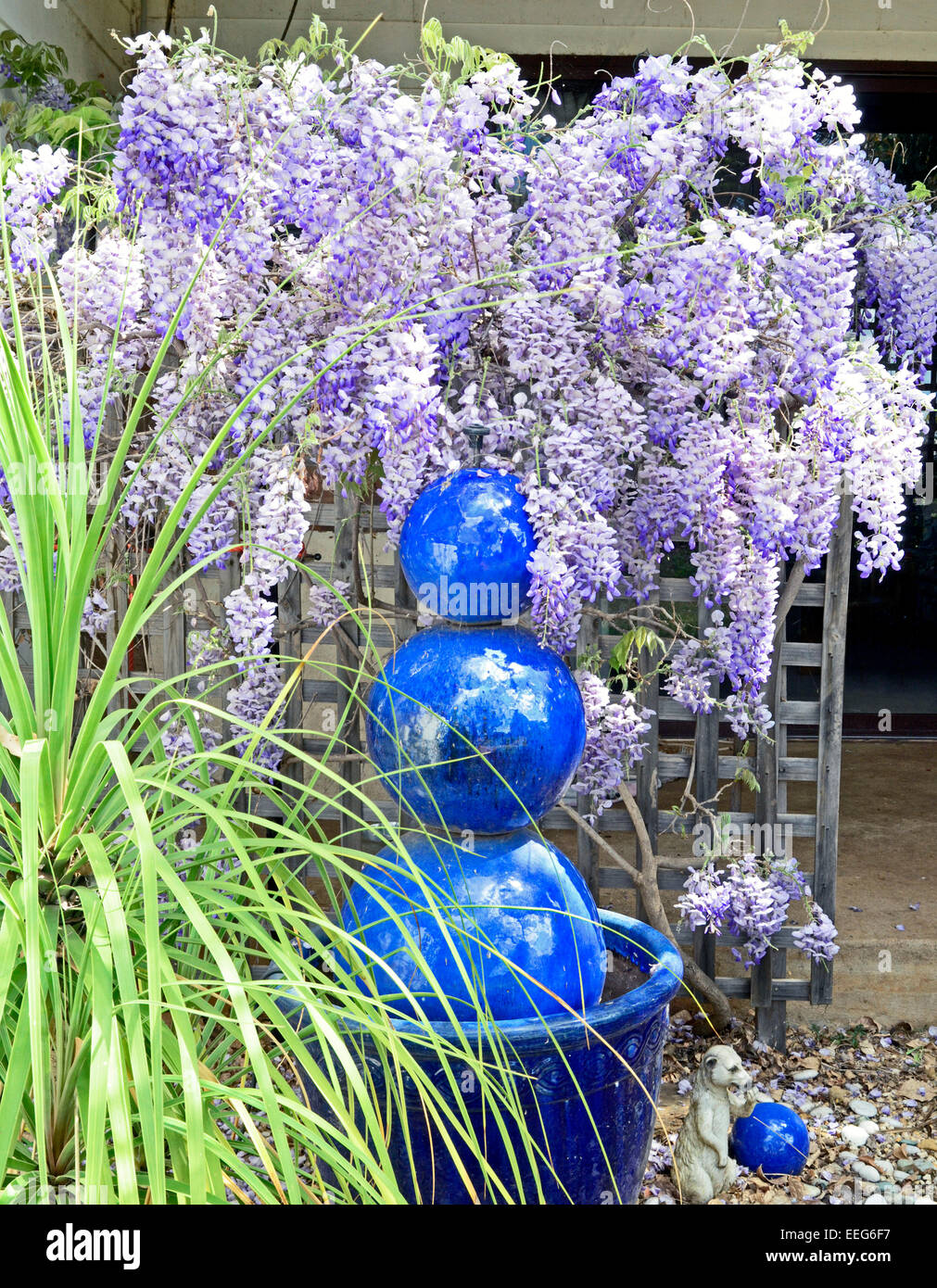 Image showcasing Wisteria trellis hi-res stock photography and images - Alamy