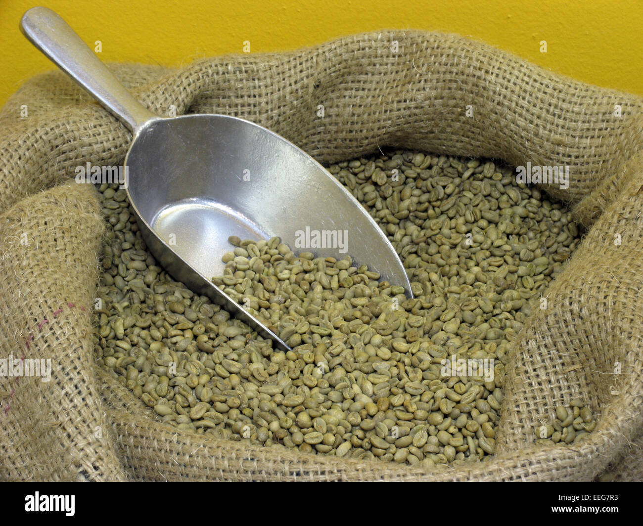 Sack Kaffeebohnen Genussmittel Kaffee Bohnen Coffea Frucht Roetegewaechs Same Samen Kaffeebohne Aroma Aromastoff Koffein Anregen Stock Photo
