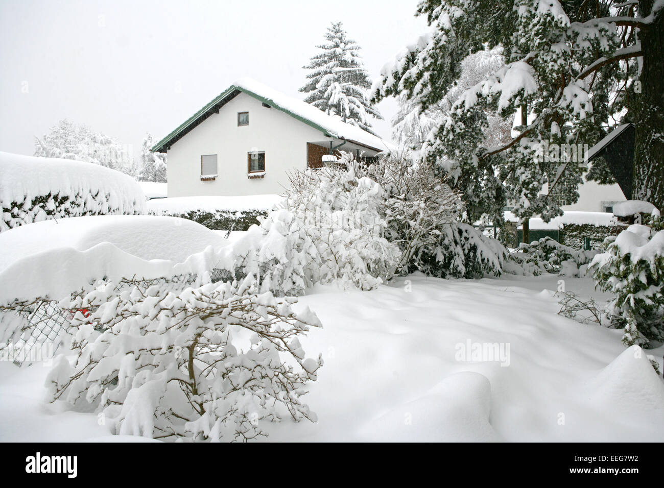 Straeucher Garten Wohngebiet Neuschnee Winter, Vegetation Baum verschneit eingeschneit Schnee Kaelte Wintereinbruch Schneechaos Stock Photo