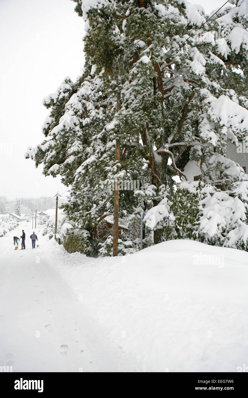 Straeucher Strasse Spur Wohngebiet Neuschnee Winter, Vegetation Baum verschneit eingeschneit Schnee Kaelte Wintereinbruch Schnee Stock Photo
