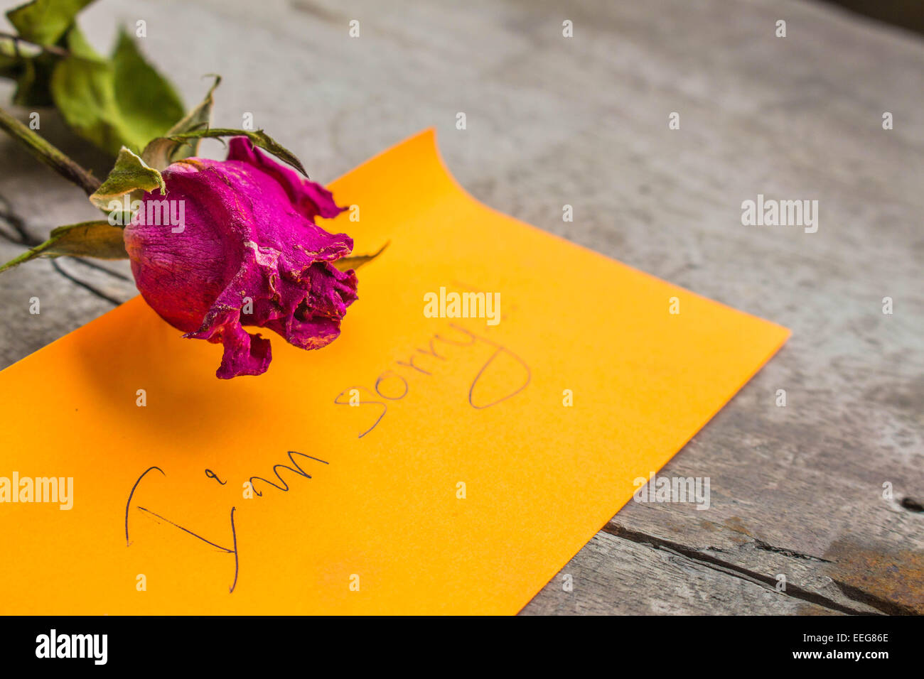 Rose condolences on the table Stock Photo - Alamy