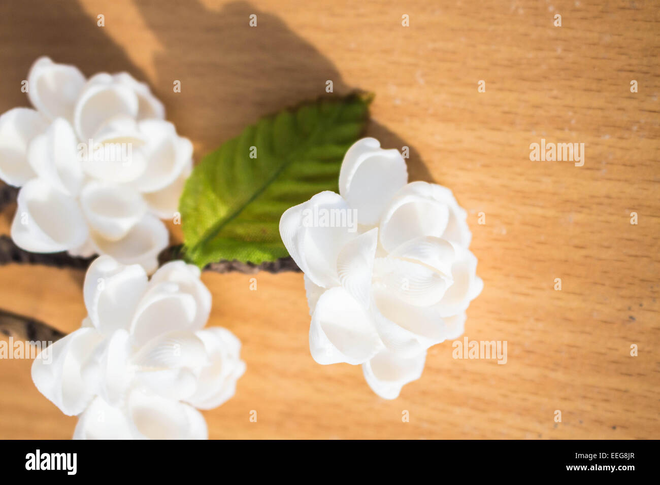 Bouquet design with shell hi-res stock photography and images - Alamy