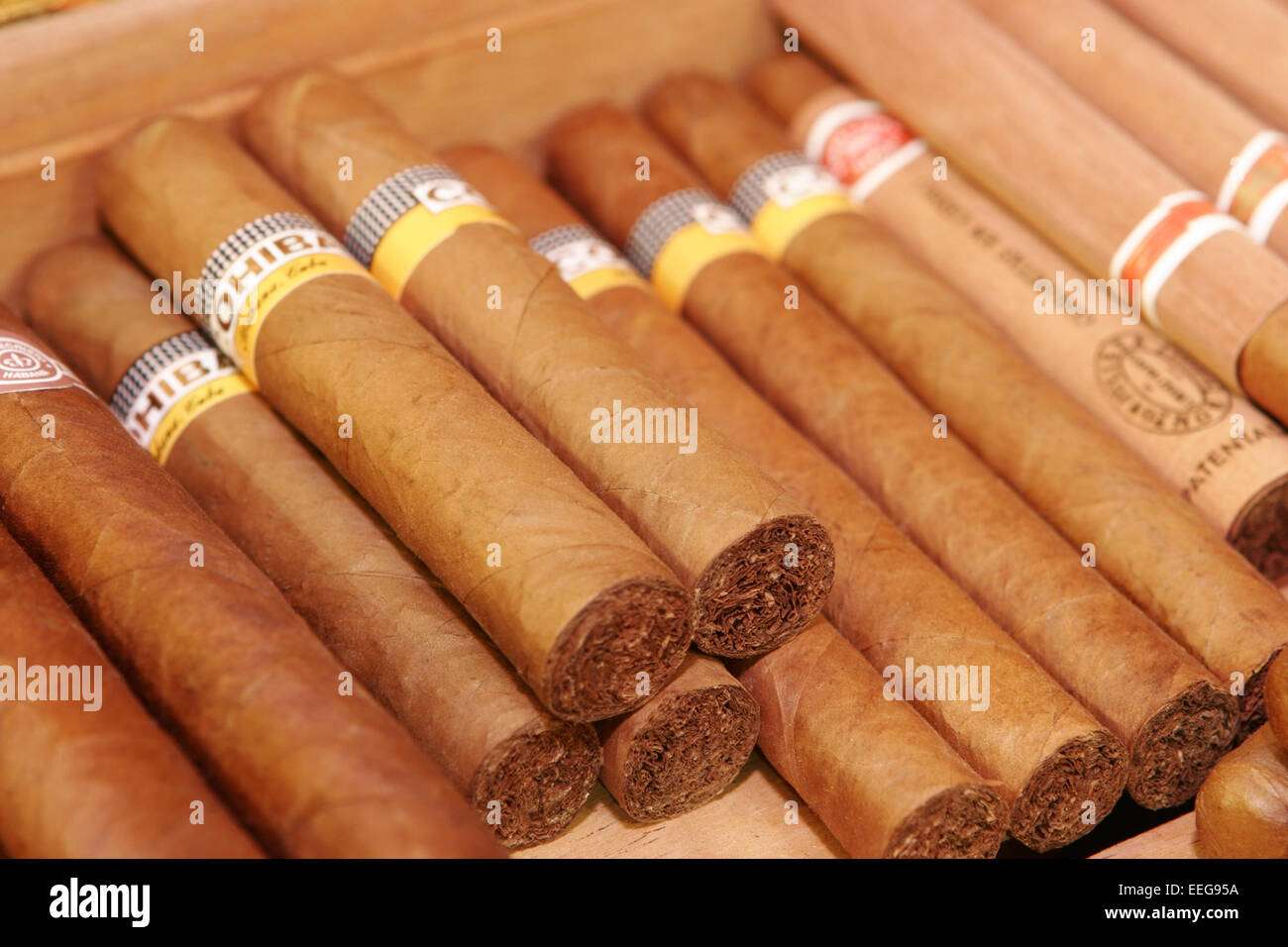 Zigarren, Rauchen, Genussmittel, Genuss, Sucht, Luxus, Tabak, Cohiba, Kubanische, Kiste, Zigarrenkiste, Zigarre, Droge, Drogen, Stock Photo