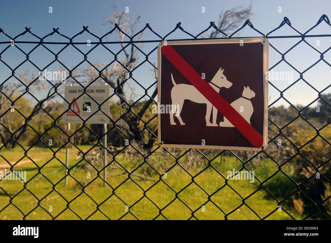Security fence around coastal wetland to prevent incursions by cats or dogs, with 1080 baiting, Mandurah, Western Australia Stock Photo