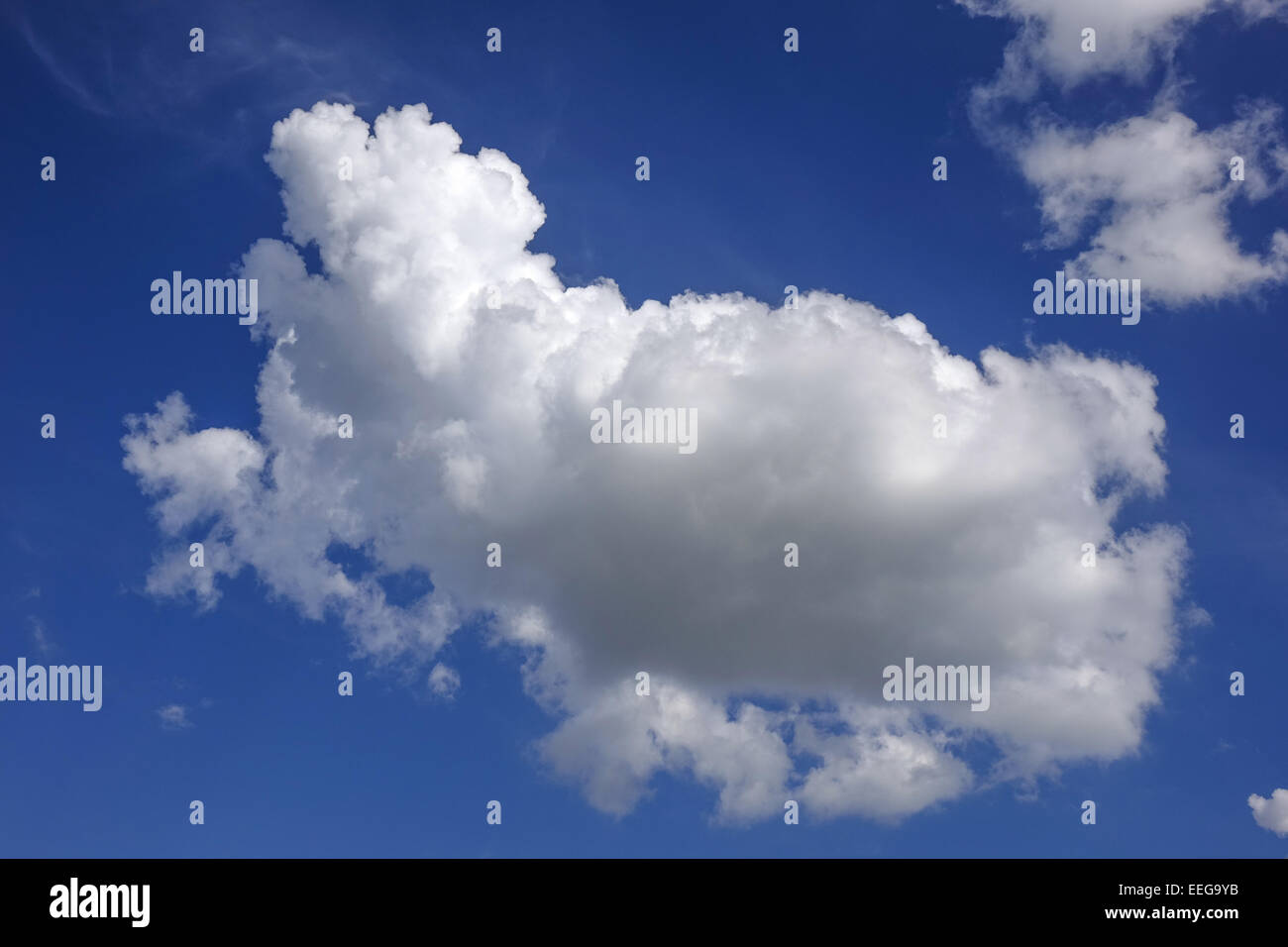 Cumuluswolken am blauen Himmel, Cumulus clouds against a blue sky, .blue and white, Cirrocumulus, cloud, formations, formation, Stock Photo