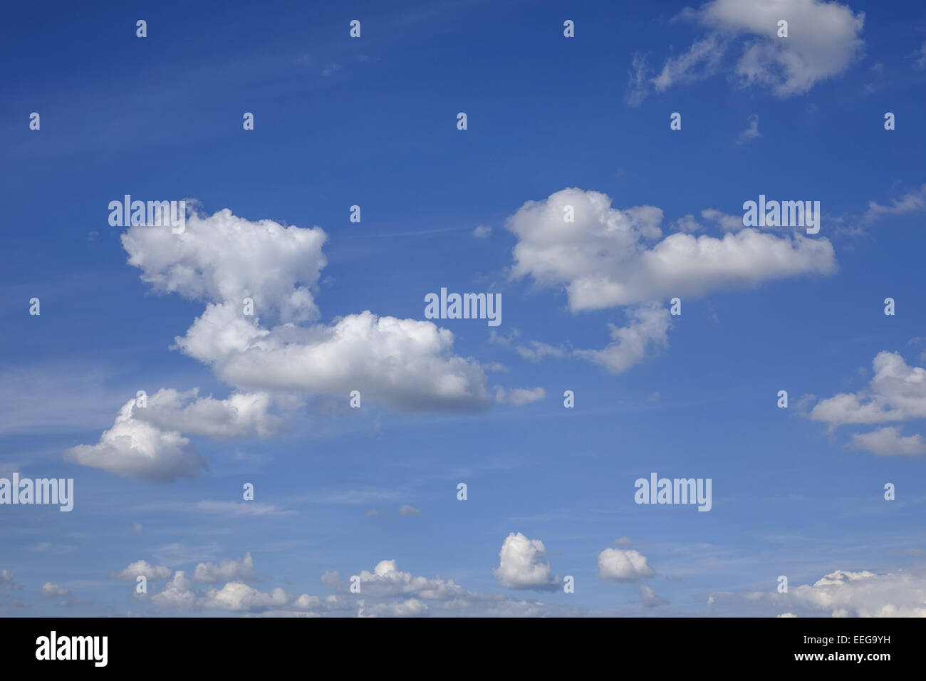 Cumuluswolken am blauen Himmel, Cumulus clouds against a blue sky, .blue and white, Cirrocumulus, cloud, formations, formation, Stock Photo