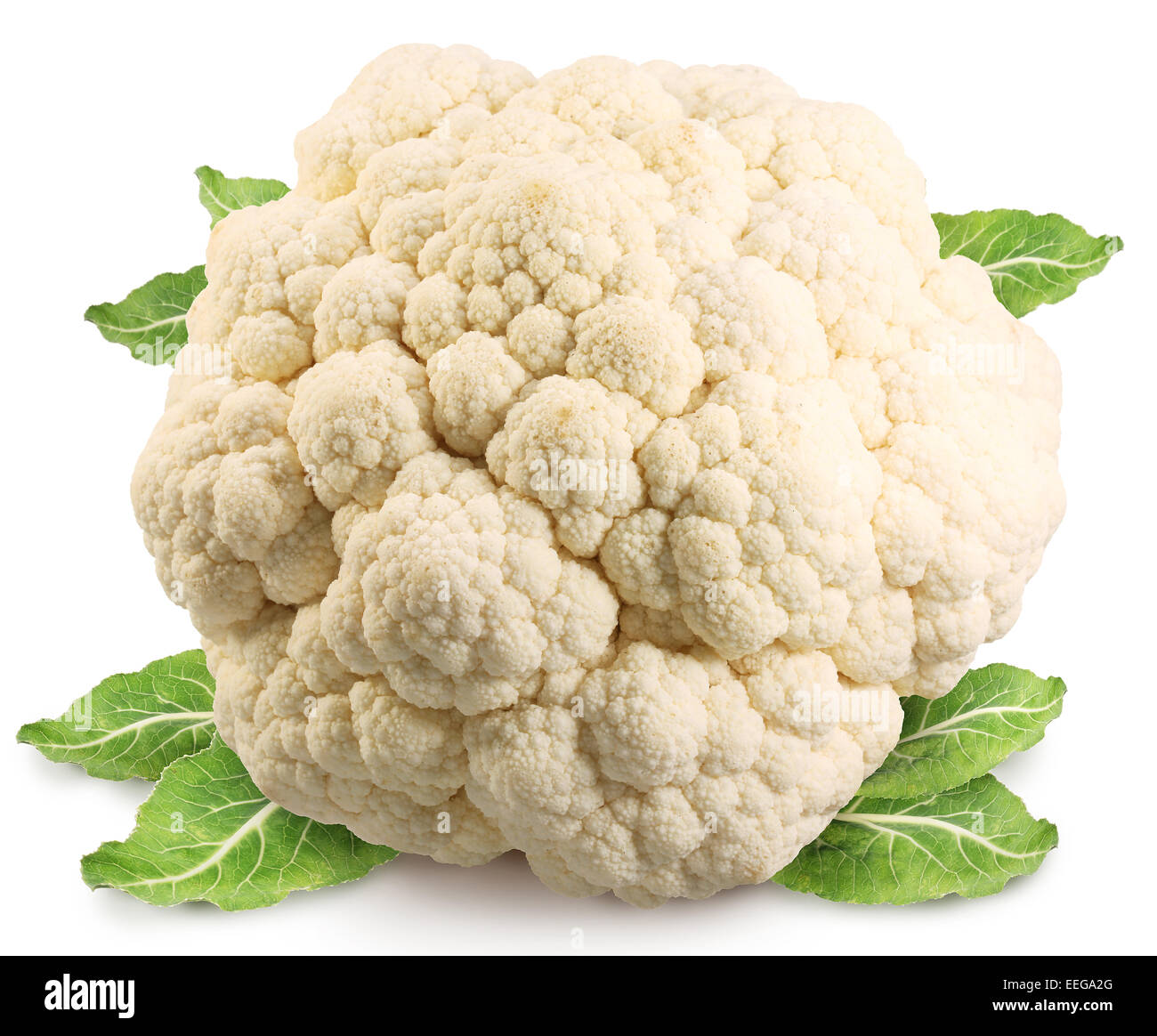 Cauliflower (cabbage) isolated on white background. Clipping path. Stock Photo